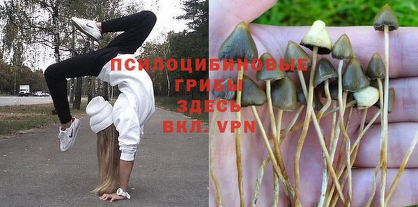 амфетамин Новозыбков