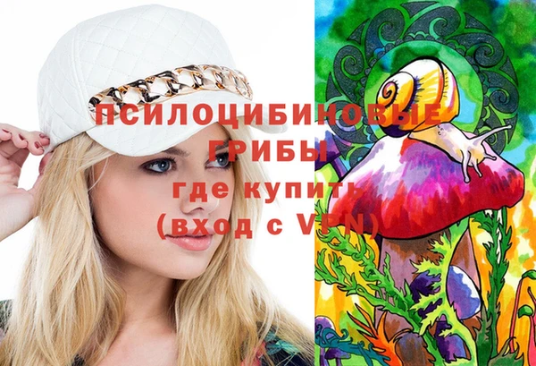 меф Новодвинск