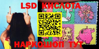 дживик Гай
