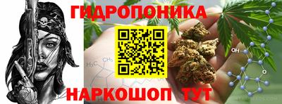 дживик Гатчина