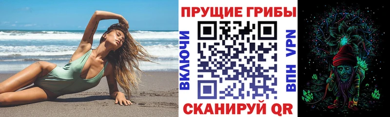 даркнет клад  Алексеевка  Галлюциногенные грибы Psilocybine cubensis  ОМГ ОМГ ONION 