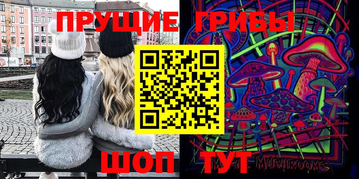 Алексеевка  где можно купить   Вход с VPN  Псилоцибиновые грибы Psilocybe 