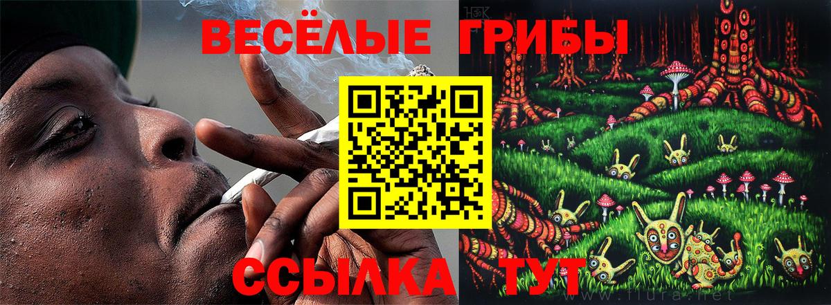 Псилоцибиновые грибы GOLDEN TEACHER Алексеевка