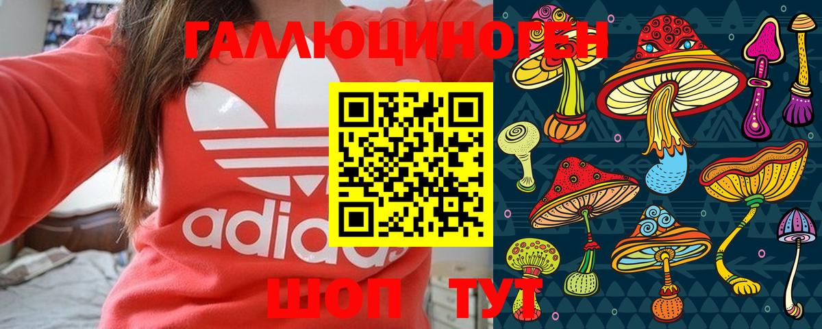 Галлюциногенные грибы Psilocybe  Вход с VPN  Алексеевка  Галлюциногенные грибы Psilocybine cubensis 