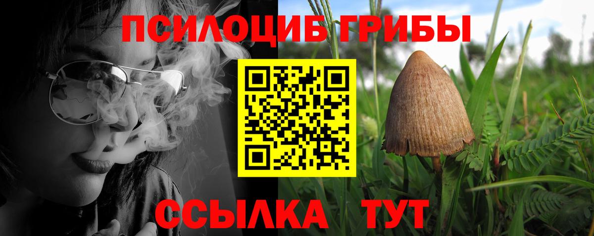 Галлюциногенные грибы Psilocybine cubensis Алексеевка